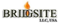 Bridgsite, LLC USA logo