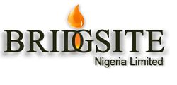 Bridgsite Nigeria Limited logo